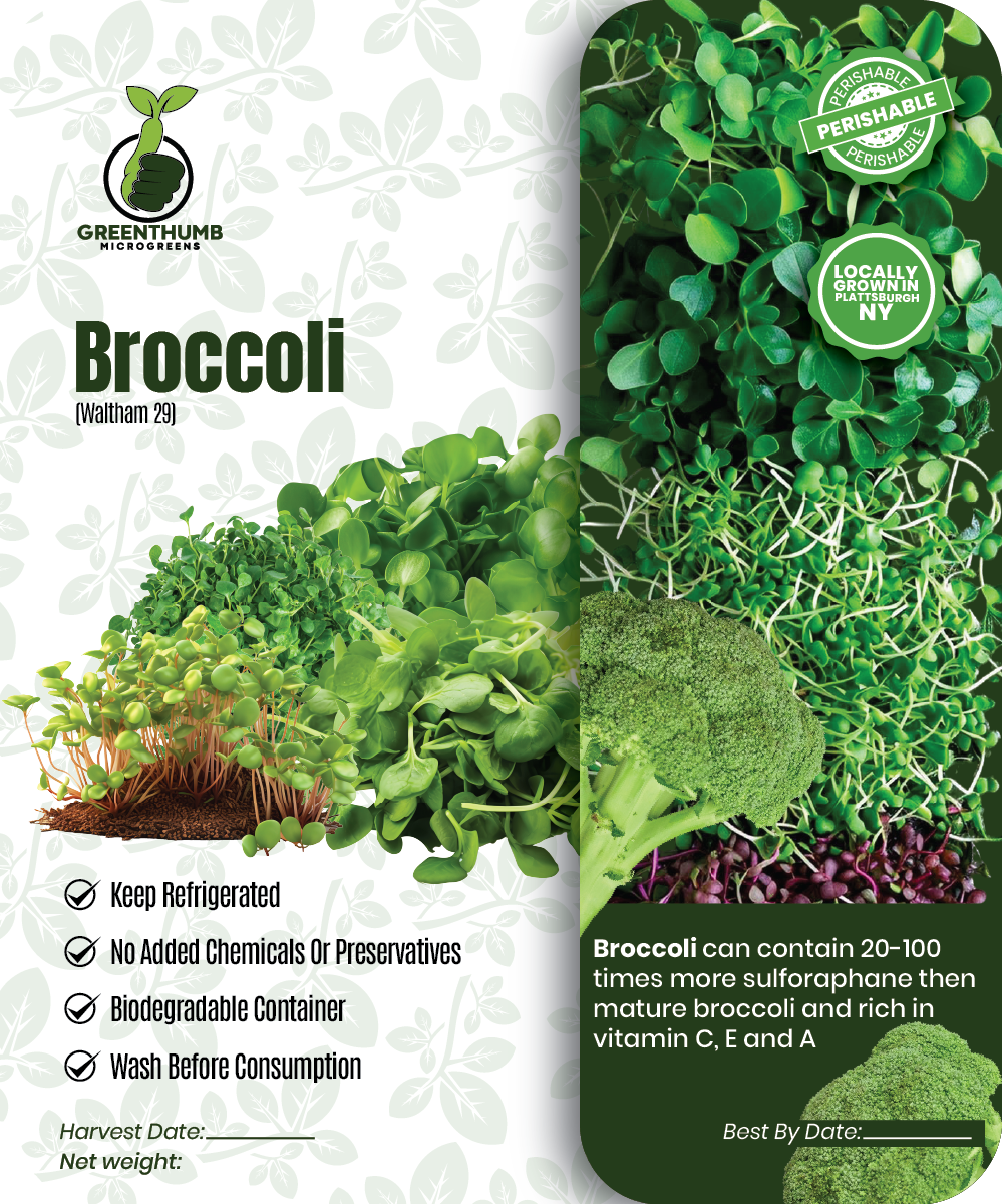 broccoli (Waltham 29)