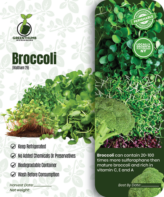 broccoli (Waltham 29)