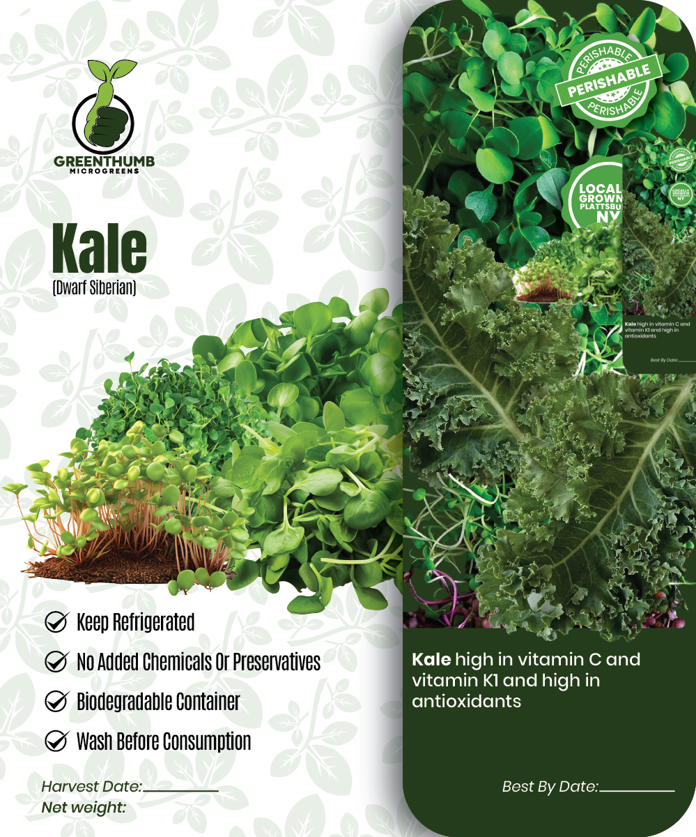 Kale (dwarf Siberian)