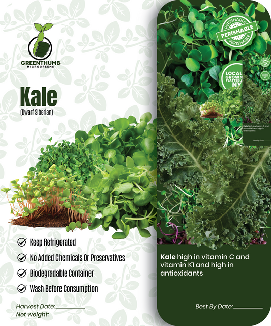 Kale (dwarf Siberian)