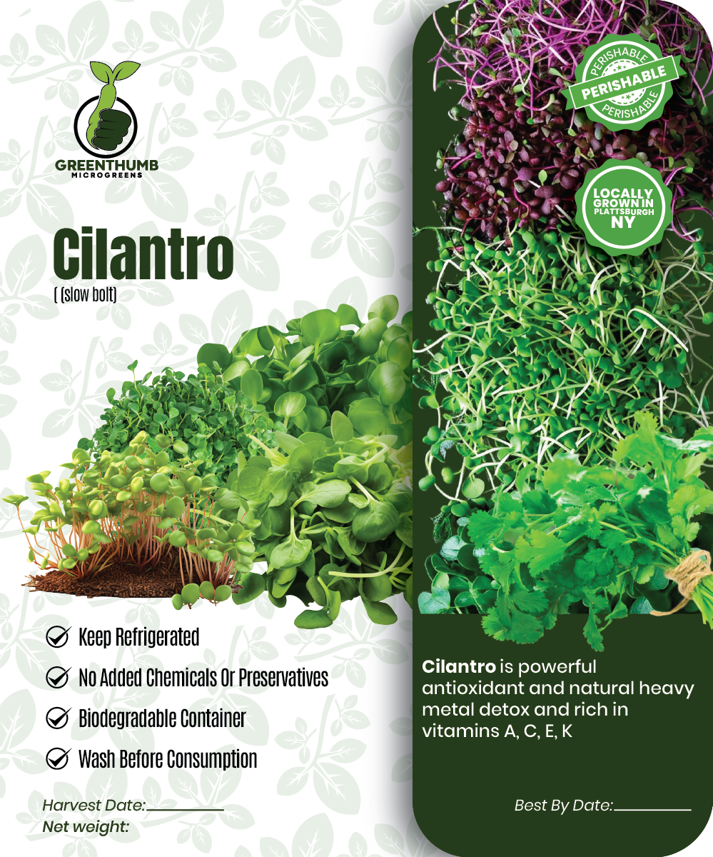 Cilantro (slow bolt)